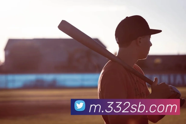 互动解说服务